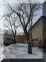 DSCF1510.JPG